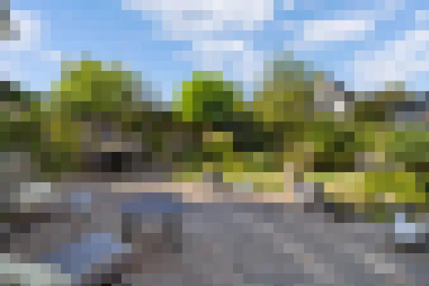 Bartigon 19 Limmen thumbnail 32