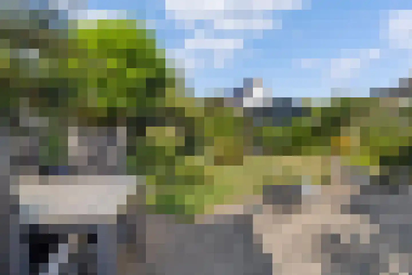 Bartigon 19 Limmen thumbnail 33