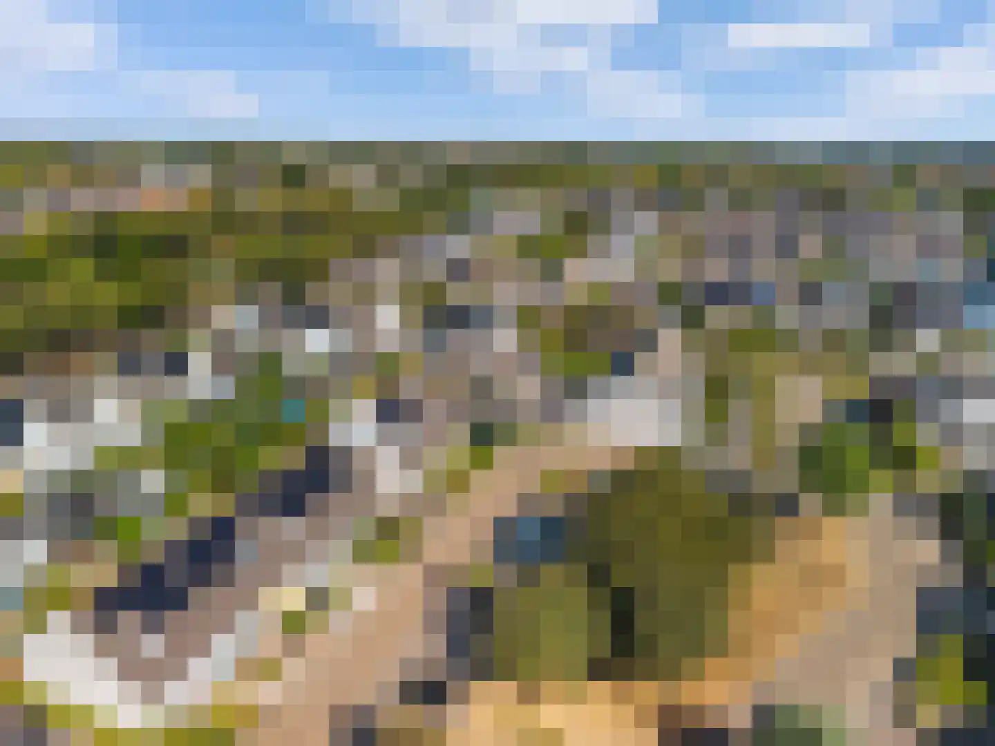 Bartigon 19 Limmen thumbnail 37