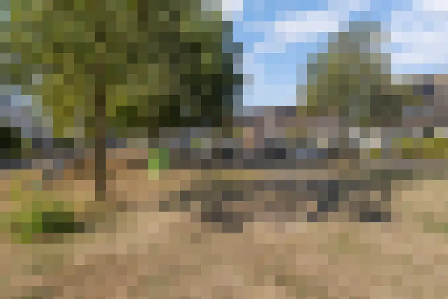 Bartigon 19 Limmen thumbnail 39