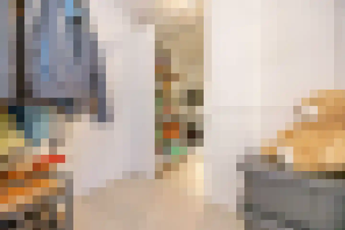 Bartje Blomhof 2 Den Haag thumbnail 11