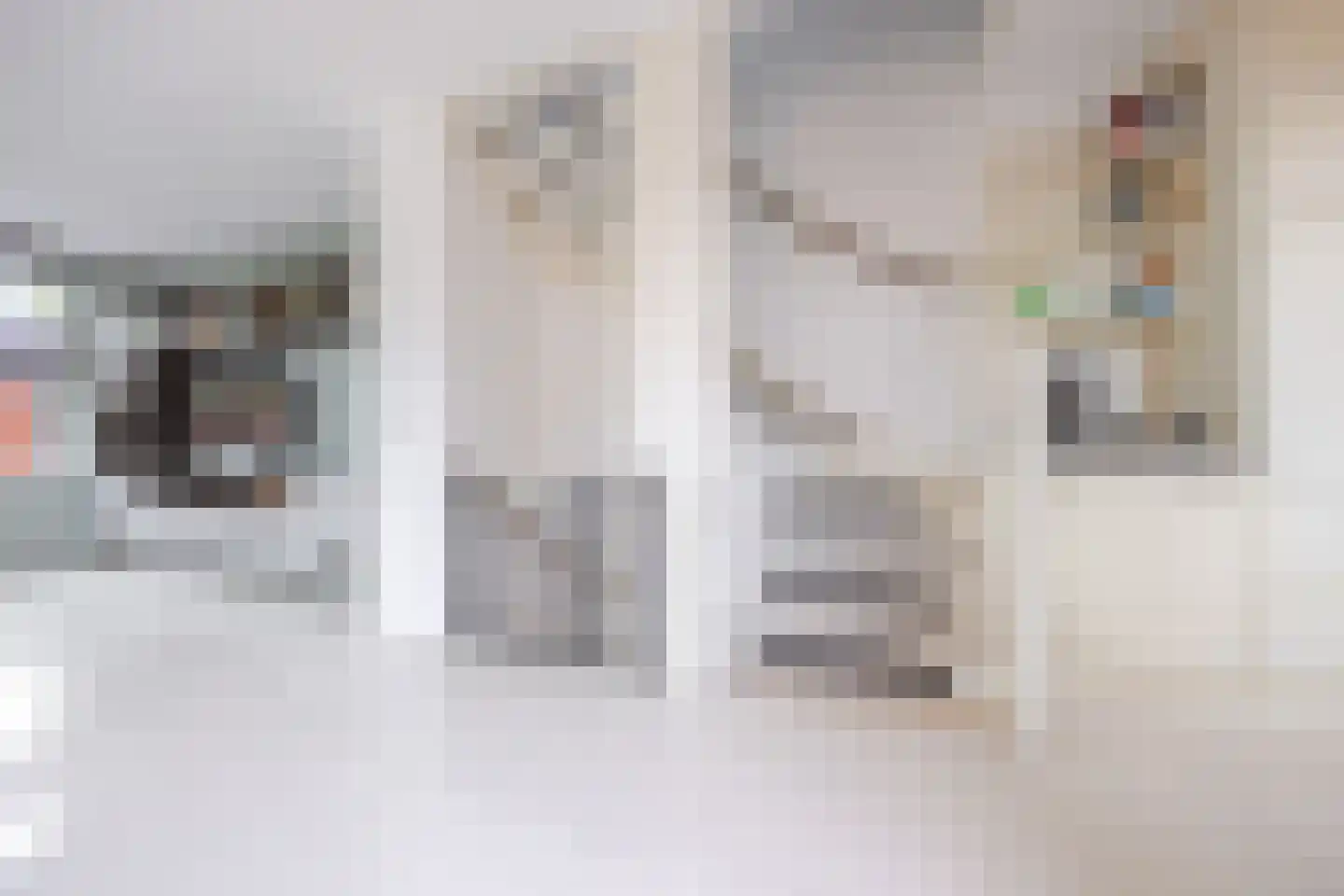 Bartje Blomhof 2 Den Haag thumbnail 13