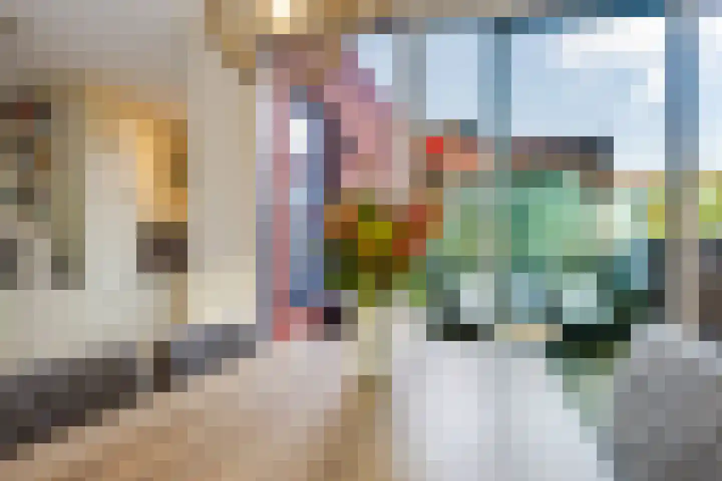 Bartje Blomhof 2 Den Haag thumbnail 19