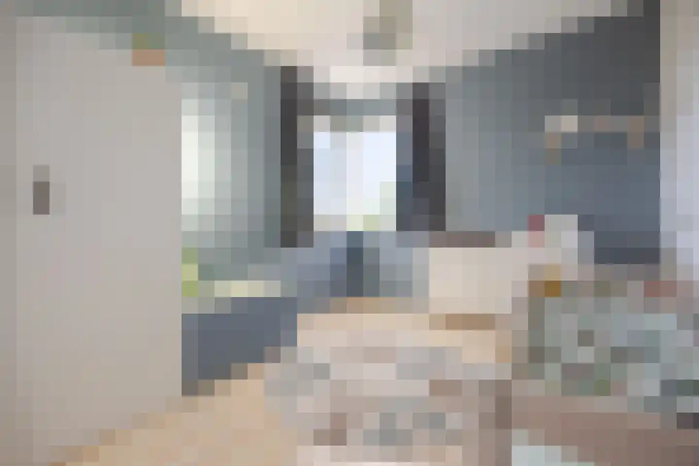 Bartje Blomhof 2 Den Haag thumbnail 25