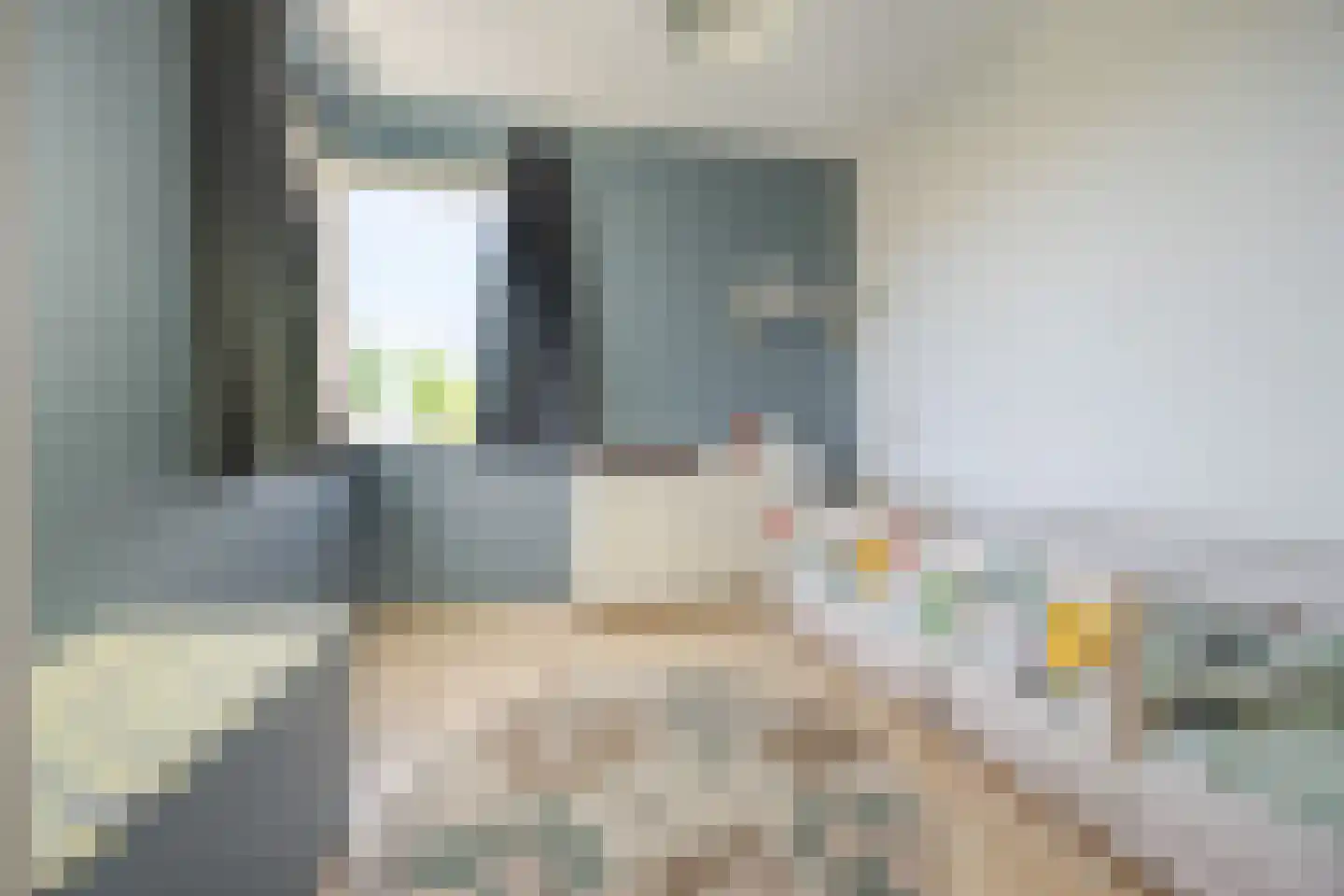 Bartje Blomhof 2 Den Haag thumbnail 26