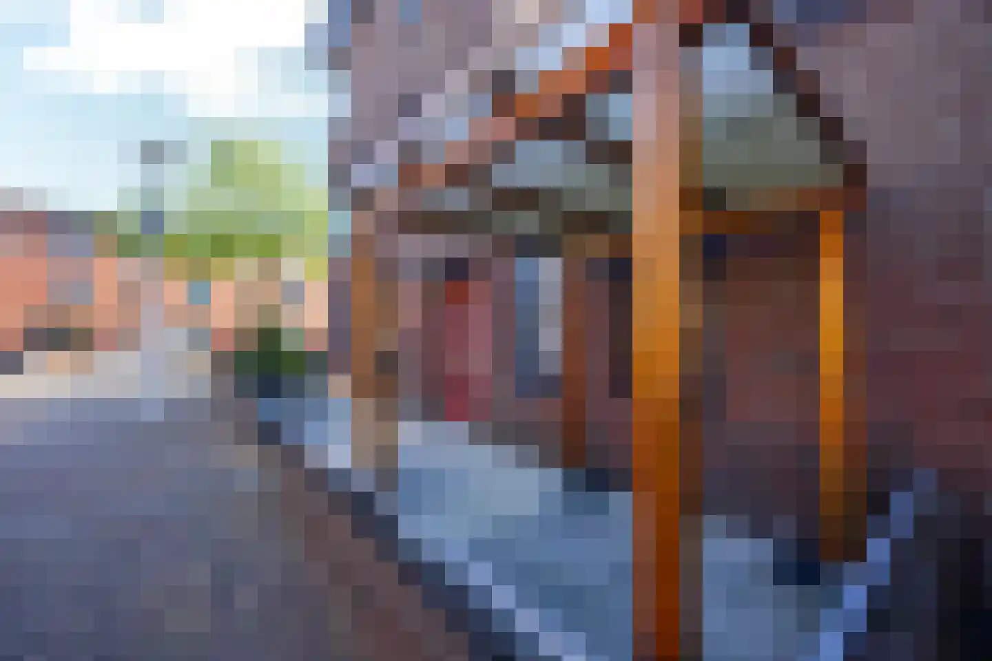 Bartje Blomhof 2 Den Haag thumbnail 33