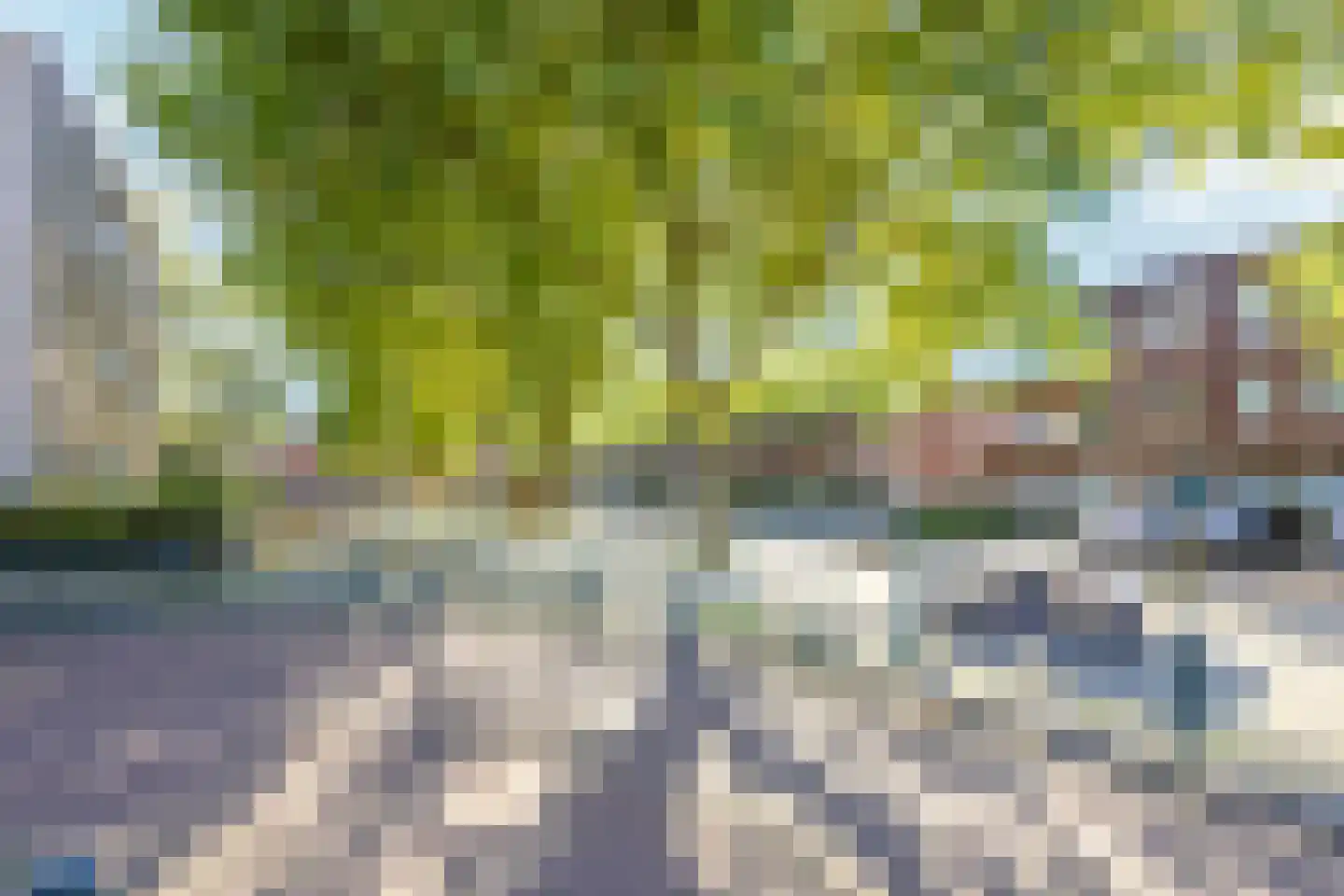 Bartje Blomhof 2 Den Haag thumbnail 42