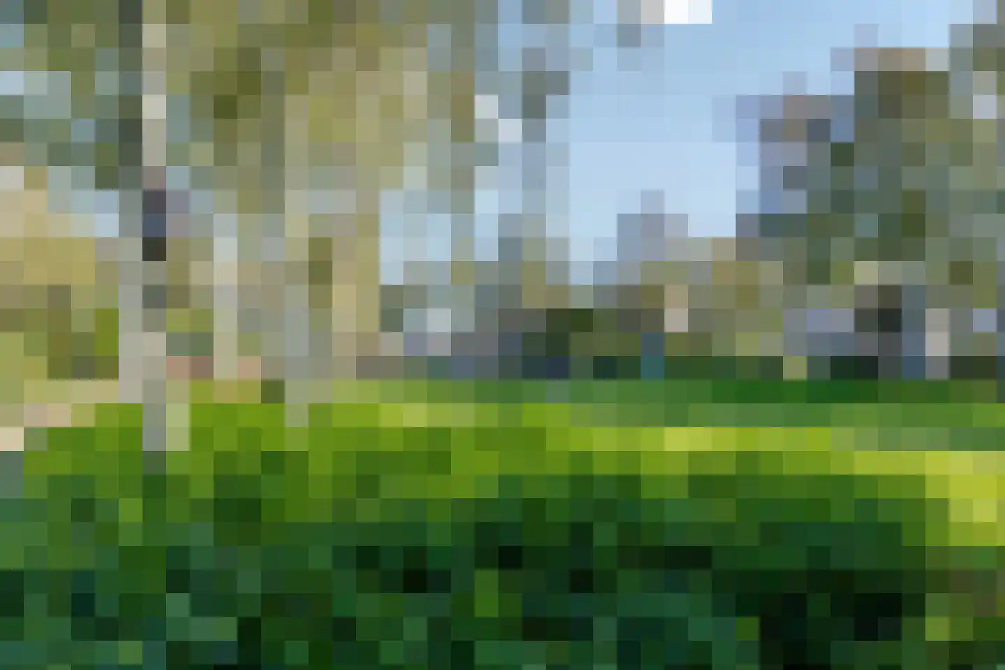 Bartje Blomhof 2 Den Haag thumbnail 47