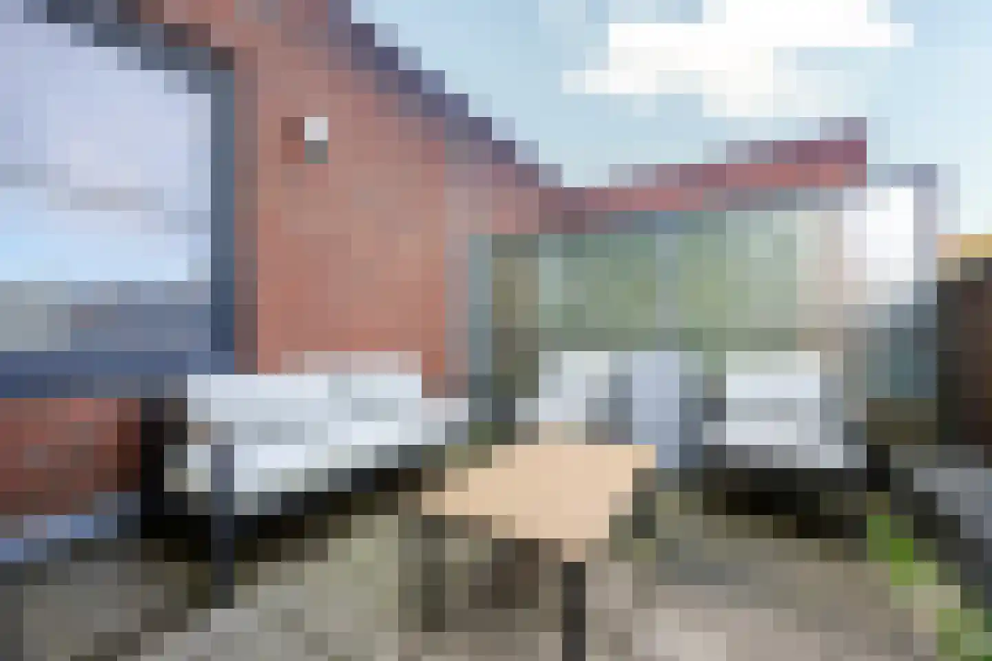 Bartje Blomhof 2 Den Haag thumbnail 6