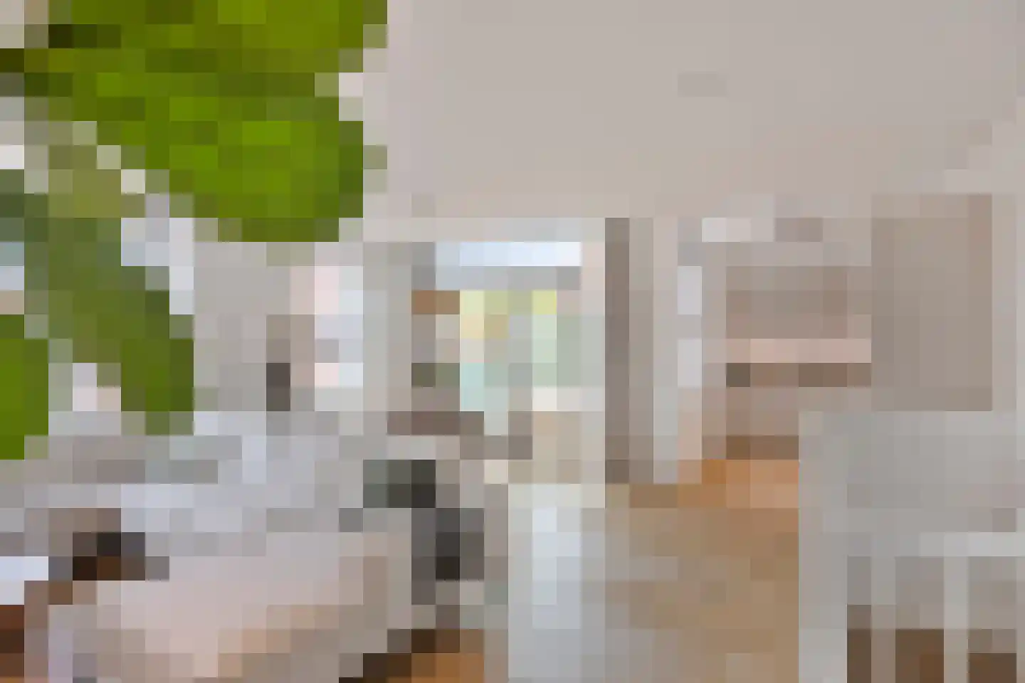 Bartje Blomhof 4 Den Haag thumbnail 13