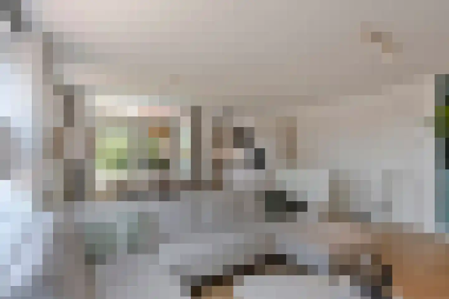 Bartje Blomhof 4 Den Haag thumbnail 15