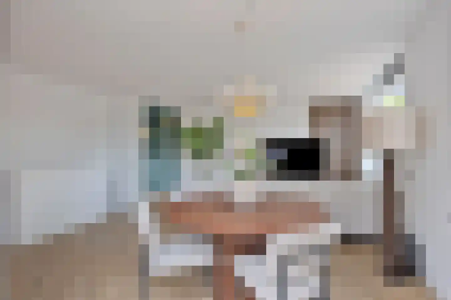 Bartje Blomhof 4 Den Haag thumbnail 19