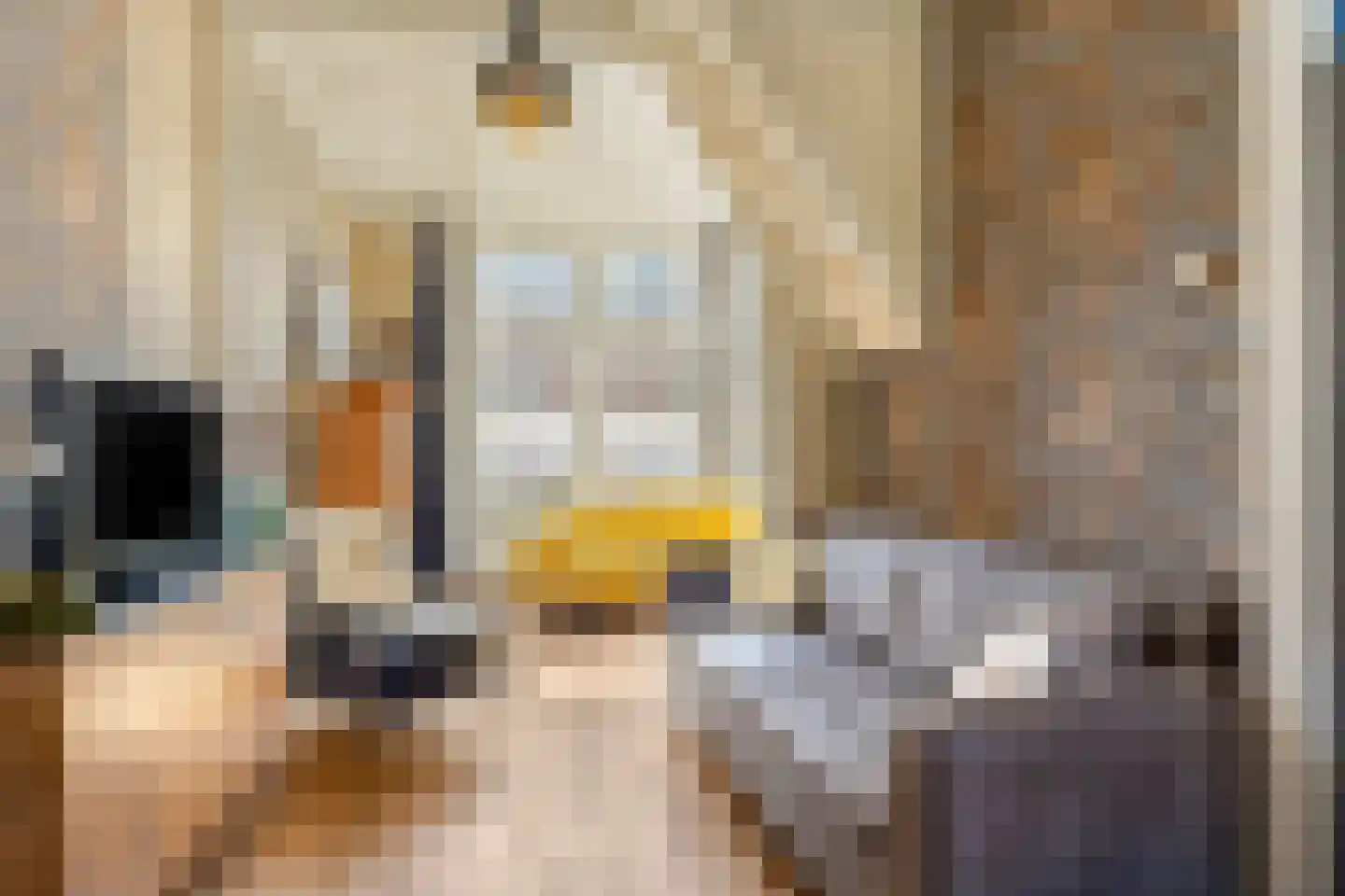 Bartjensstraat 11 Zwolle thumbnail 16