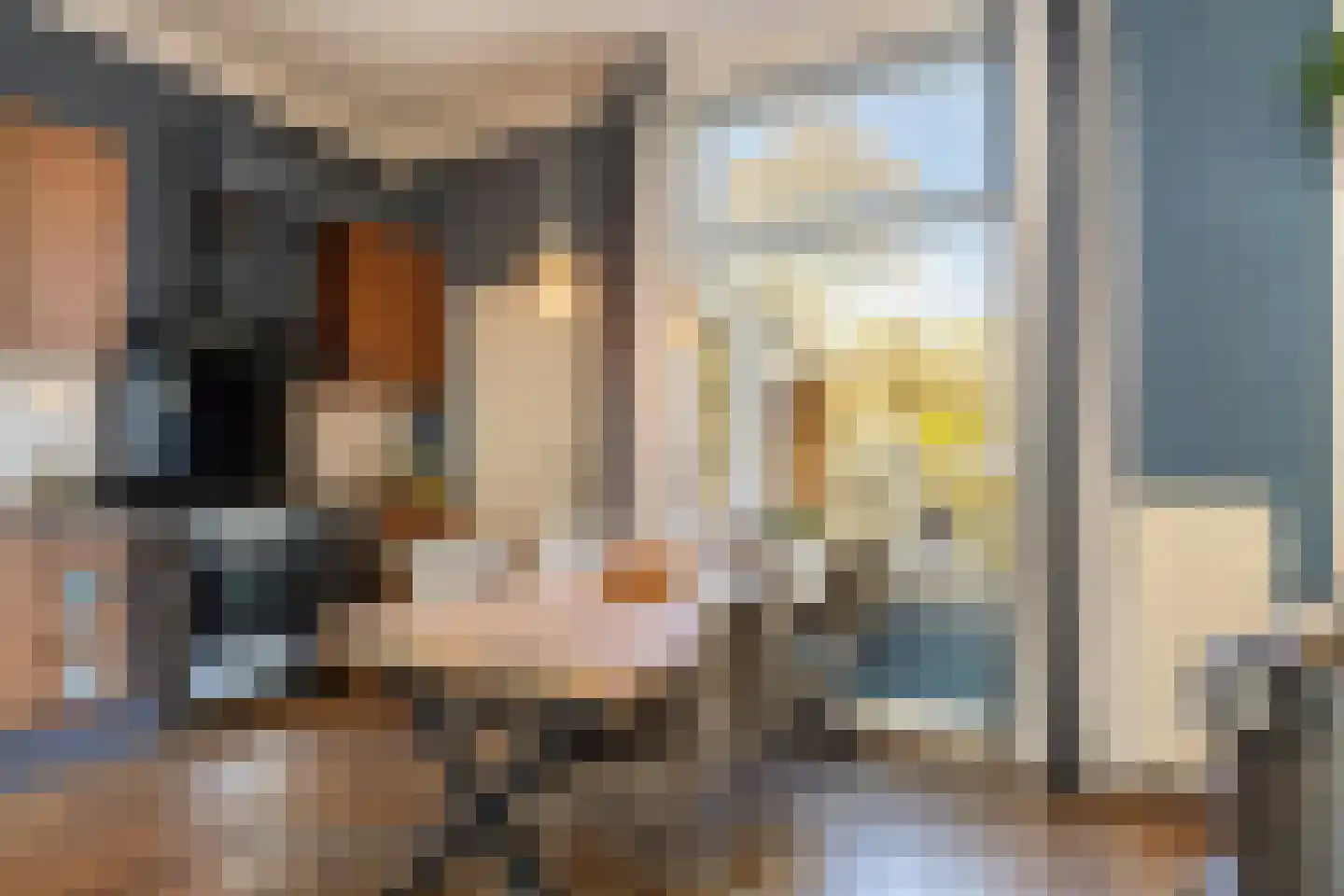 Bartjensstraat 11 Zwolle thumbnail 18