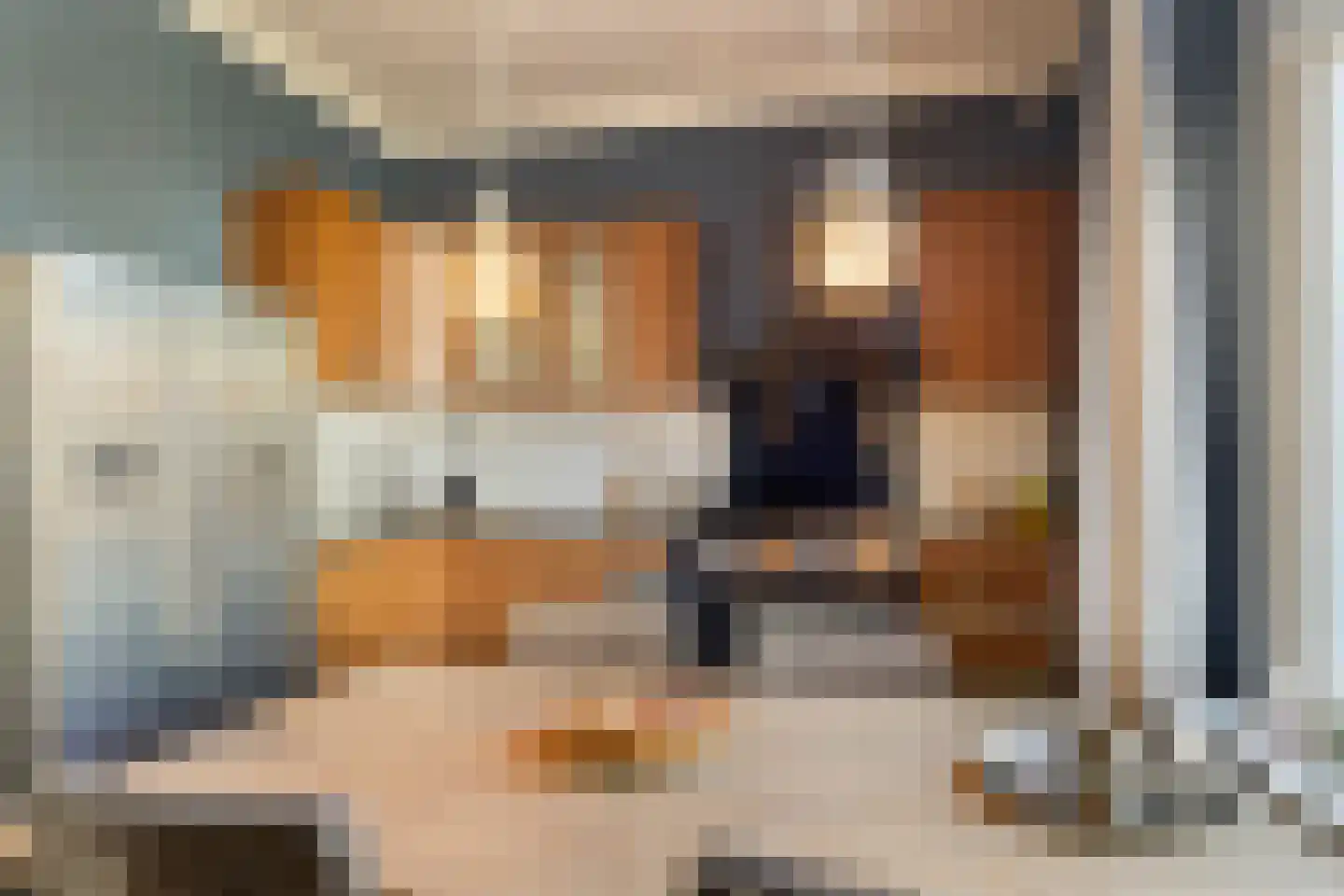 Bartjensstraat 11 Zwolle thumbnail 19