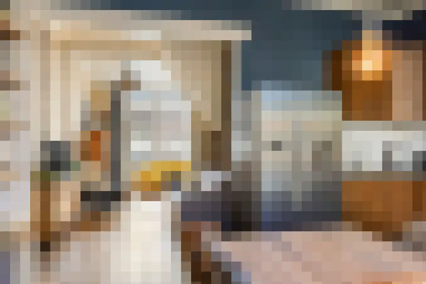 Bartjensstraat 11 Zwolle thumbnail 20