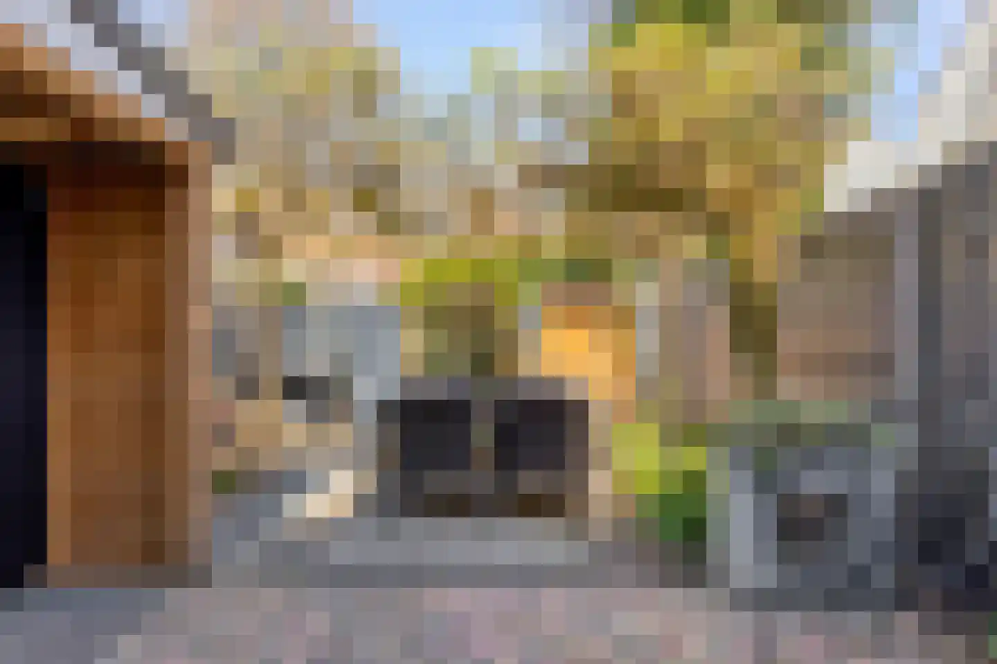 Bartjensstraat 11 Zwolle thumbnail 35
