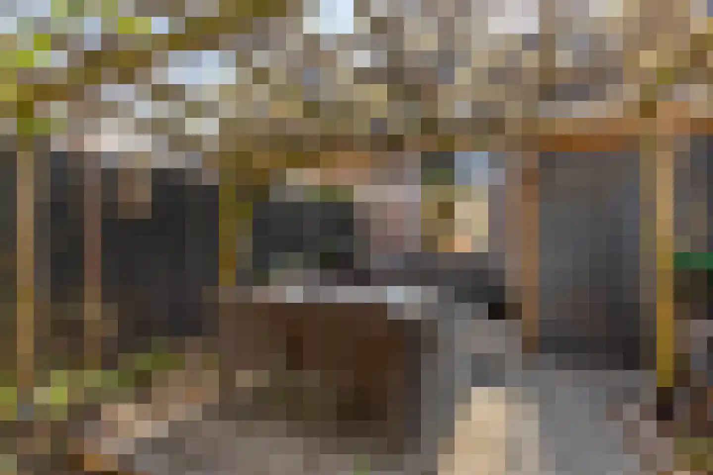Bartjensstraat 11 Zwolle thumbnail 37