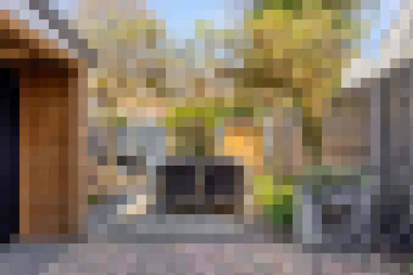 Bartjensstraat 11 Zwolle thumbnail 5