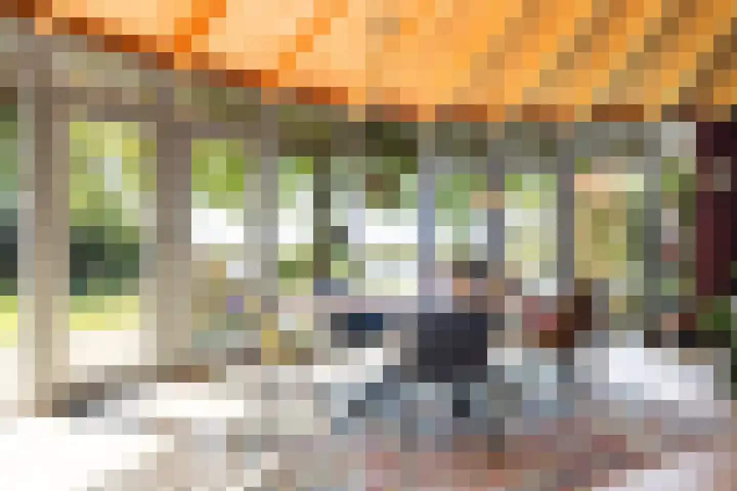 Bartlehiem 13 A Wyns thumbnail 19