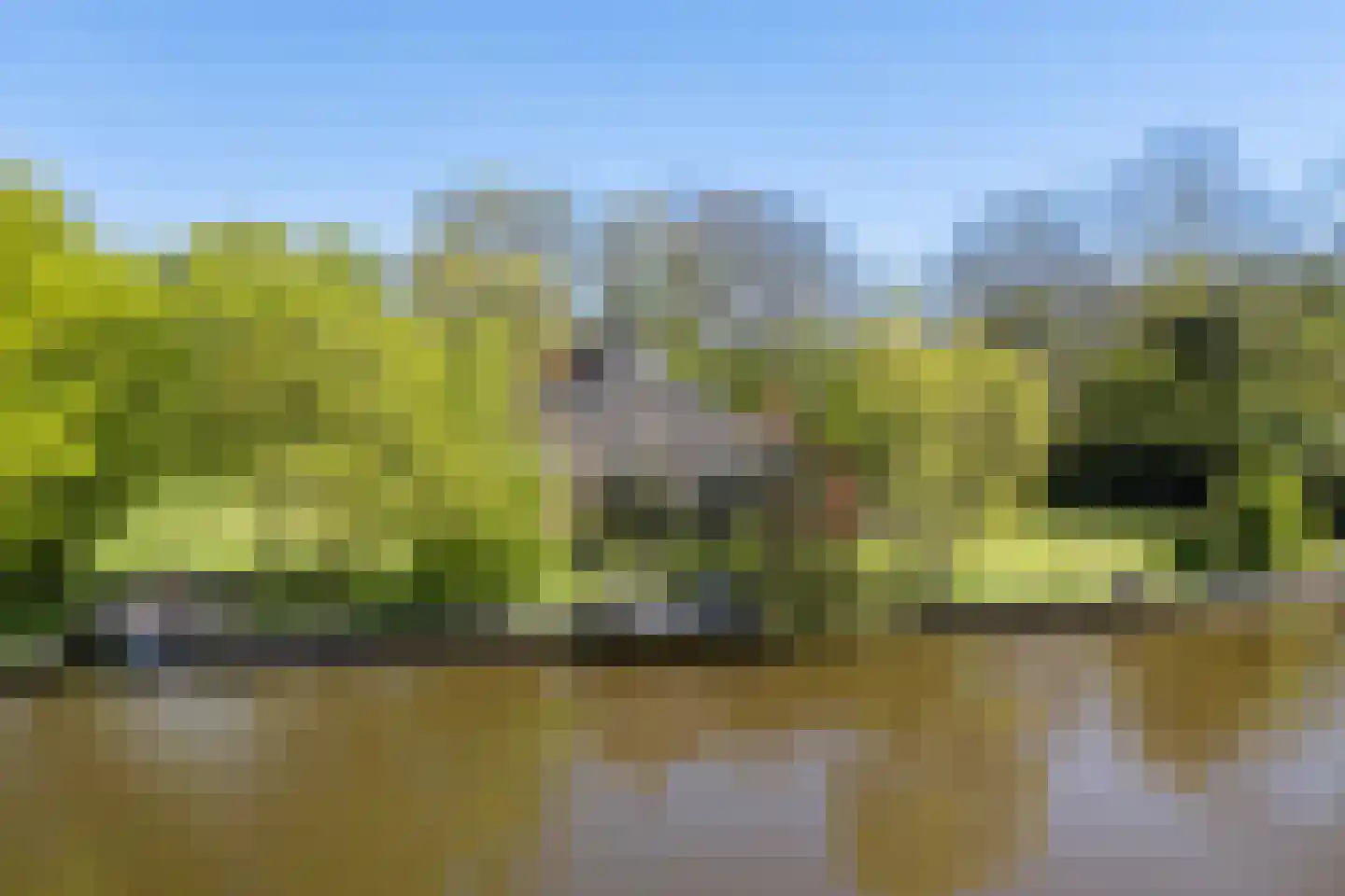 Bartlehiem 13 A Wyns foto 2