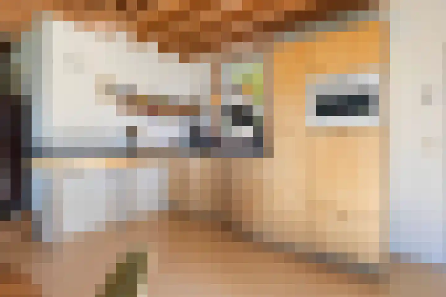 Bartlehiem 13 A Wyns thumbnail 21