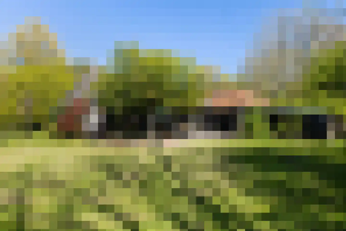 Bartlehiem 13 A Wyns thumbnail 24