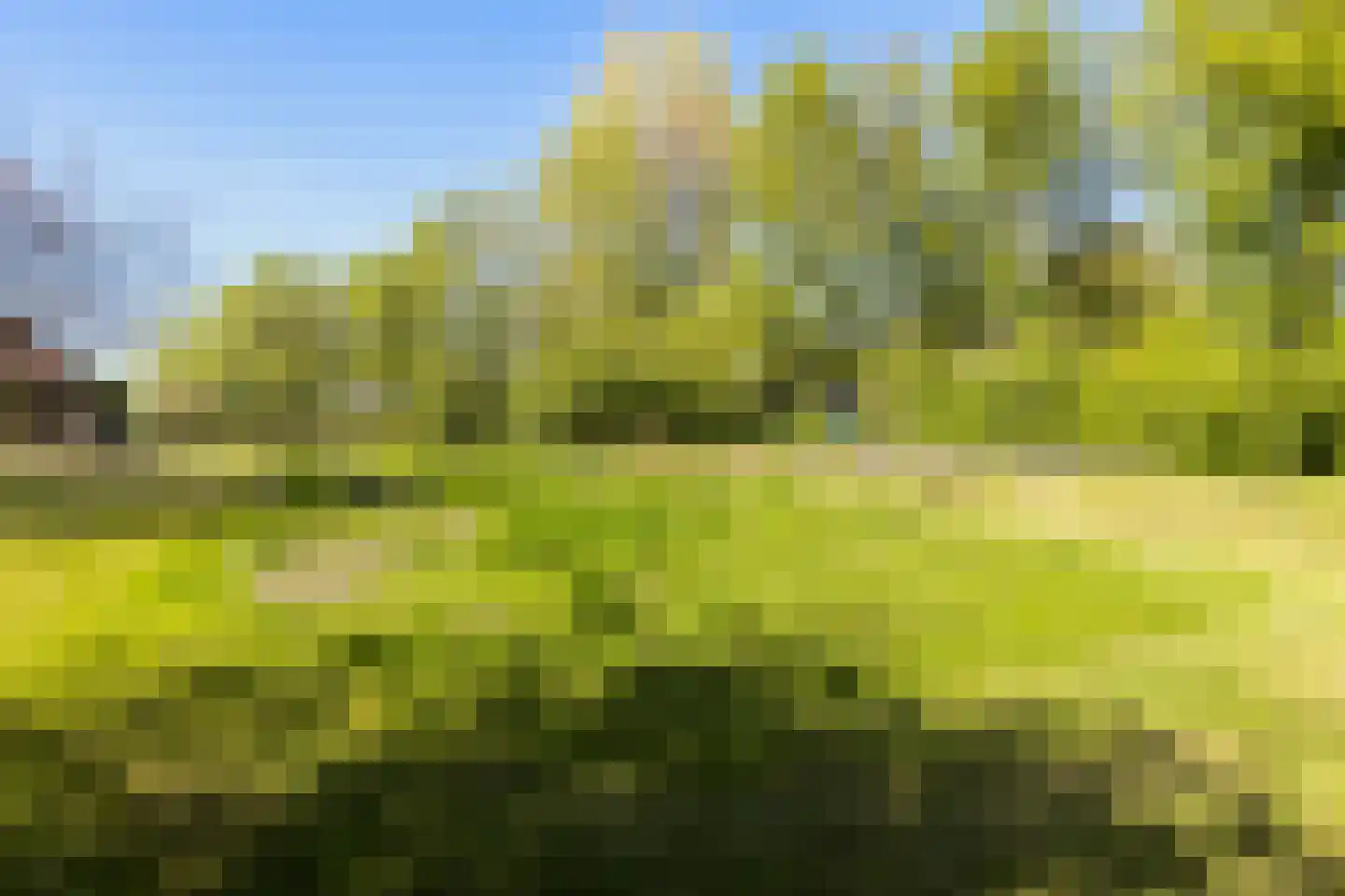 Bartlehiem 13 A Wyns thumbnail 26