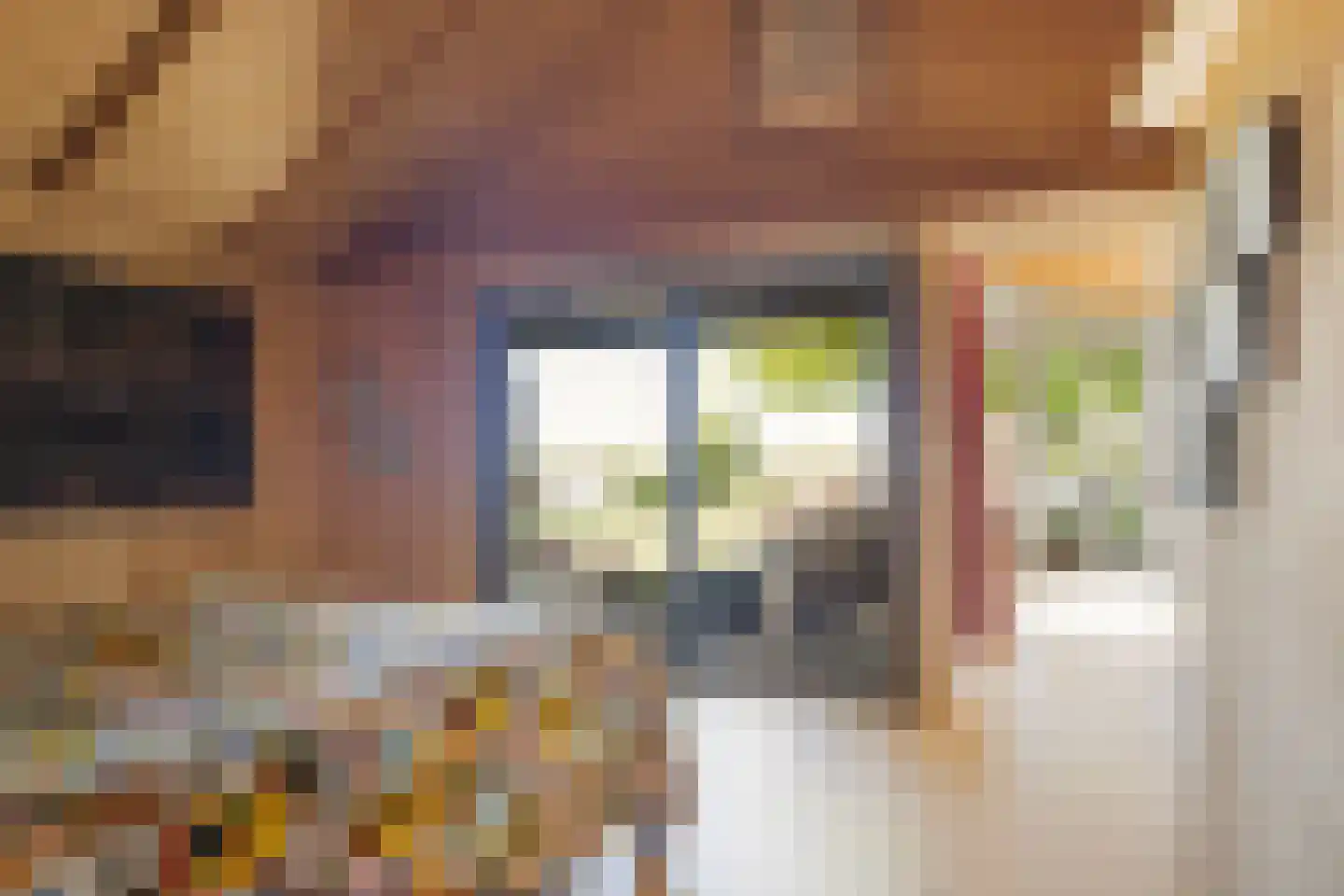 Bartlehiem 13 A Wyns thumbnail 36