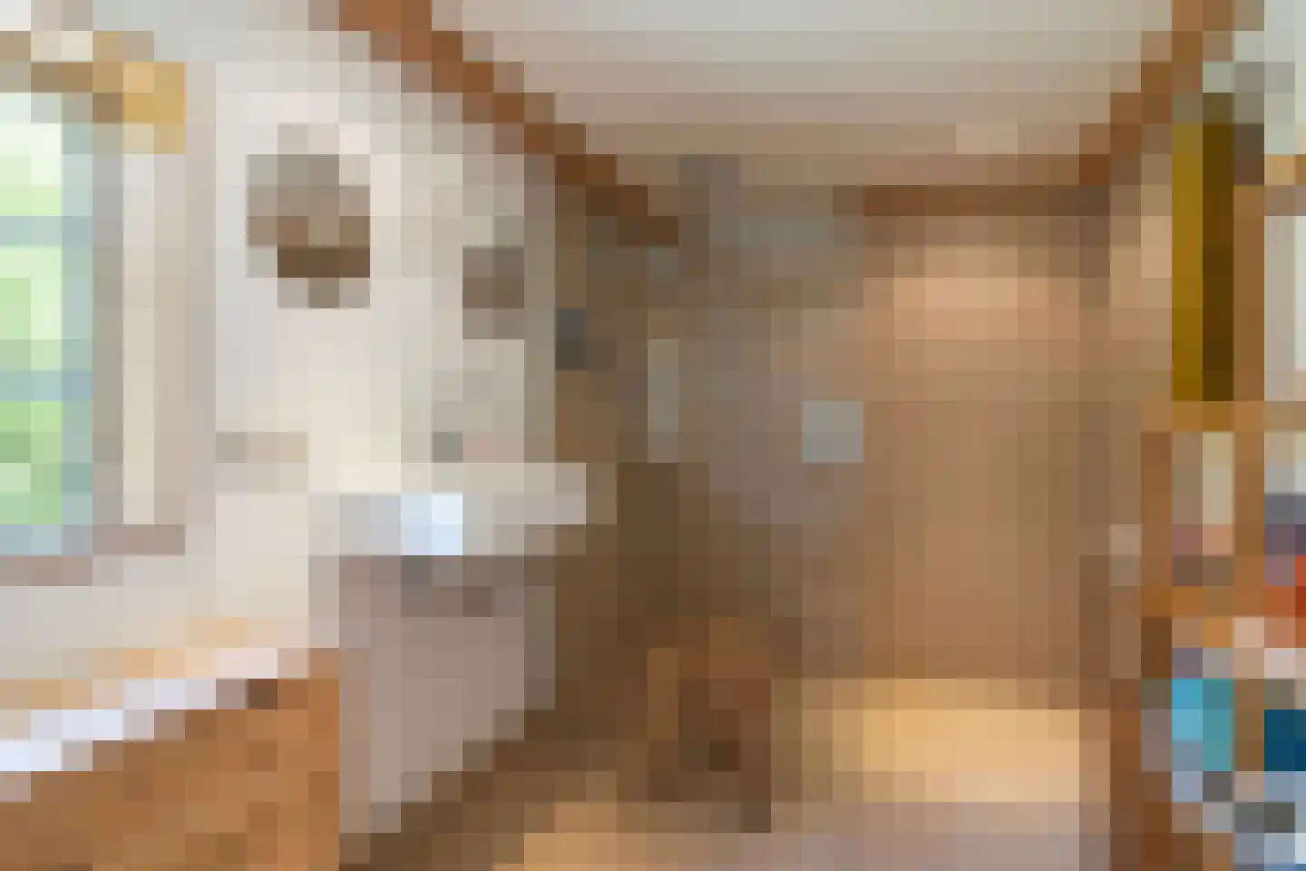 Bartlehiem 13 A Wyns thumbnail 37