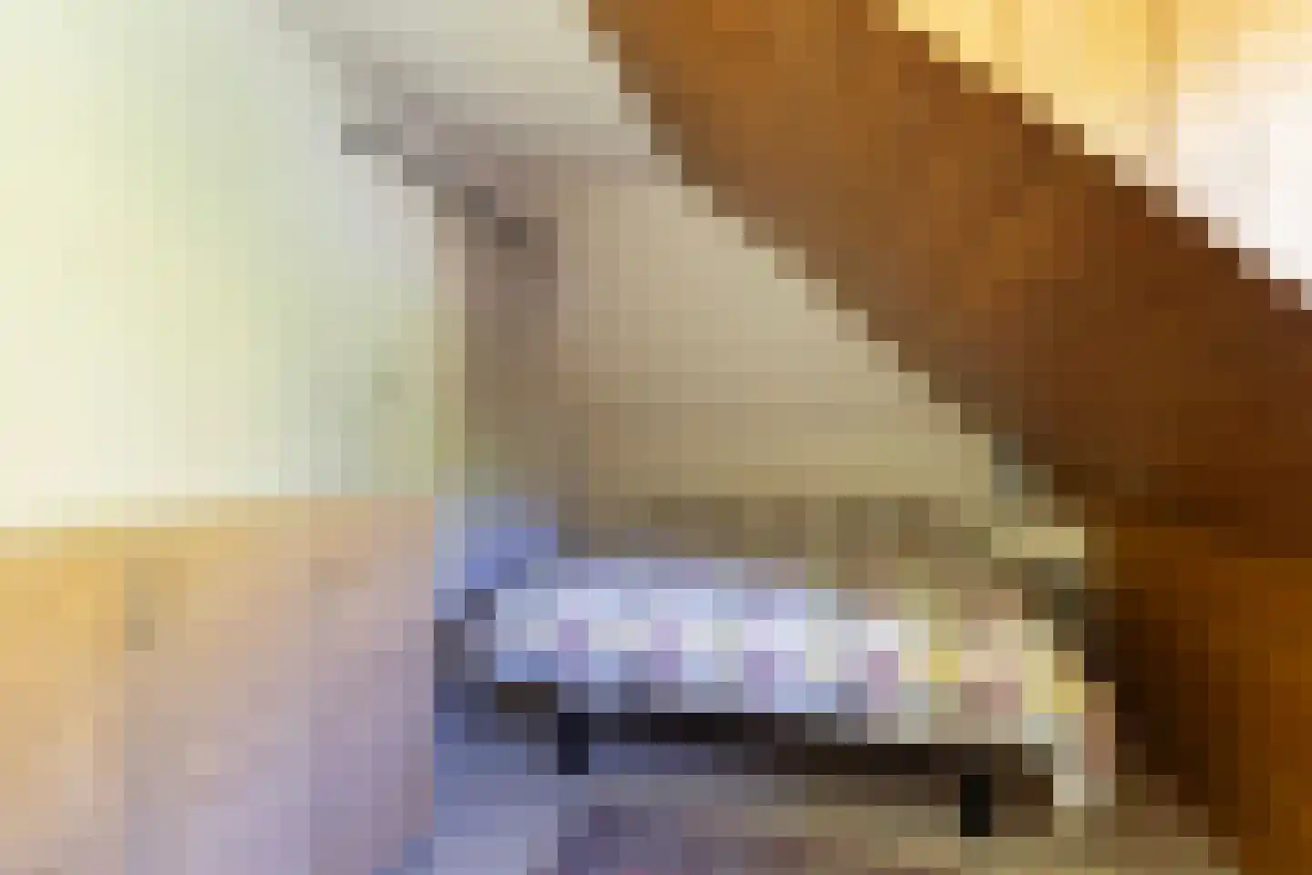 Bartlehiem 13 A Wyns thumbnail 42