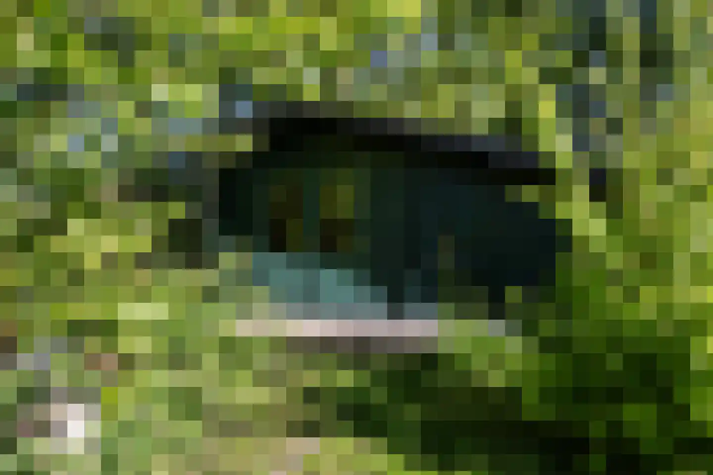 Bartlehiem 13 A Wyns thumbnail 47