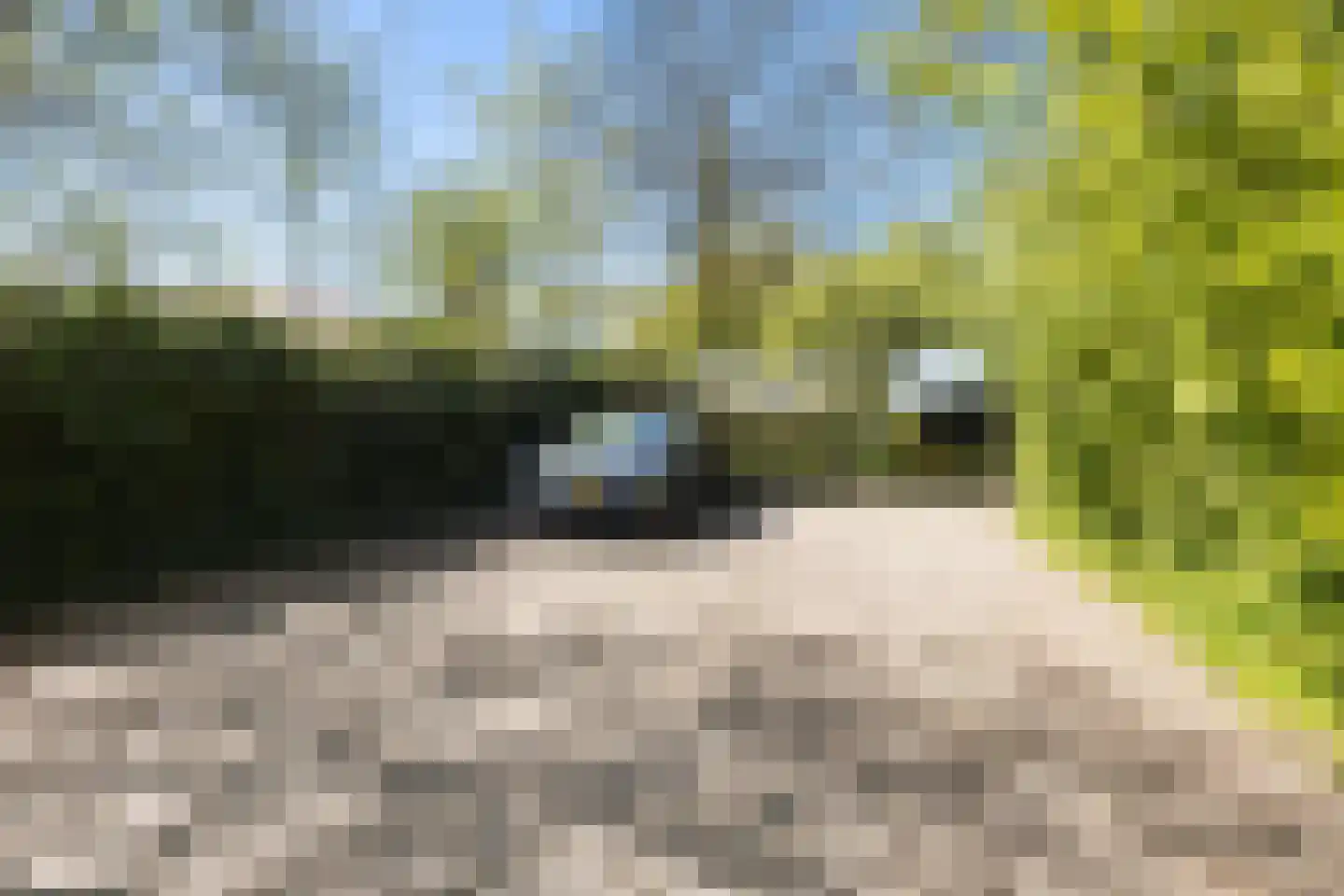 Bartlehiem 13 A Wyns thumbnail 5