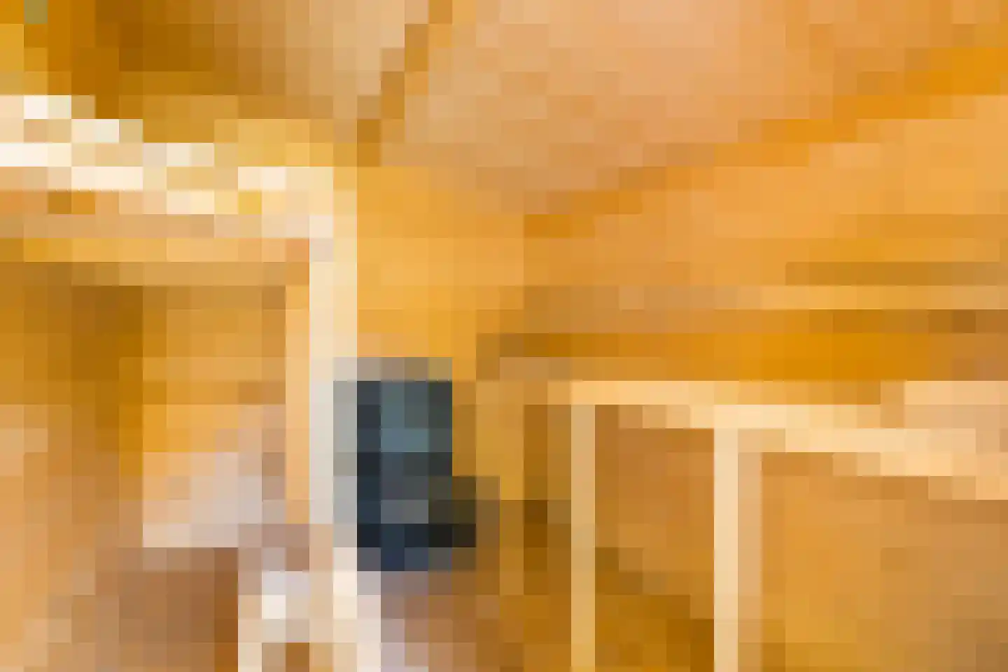 Bartlehiem 13 A Wyns thumbnail 50