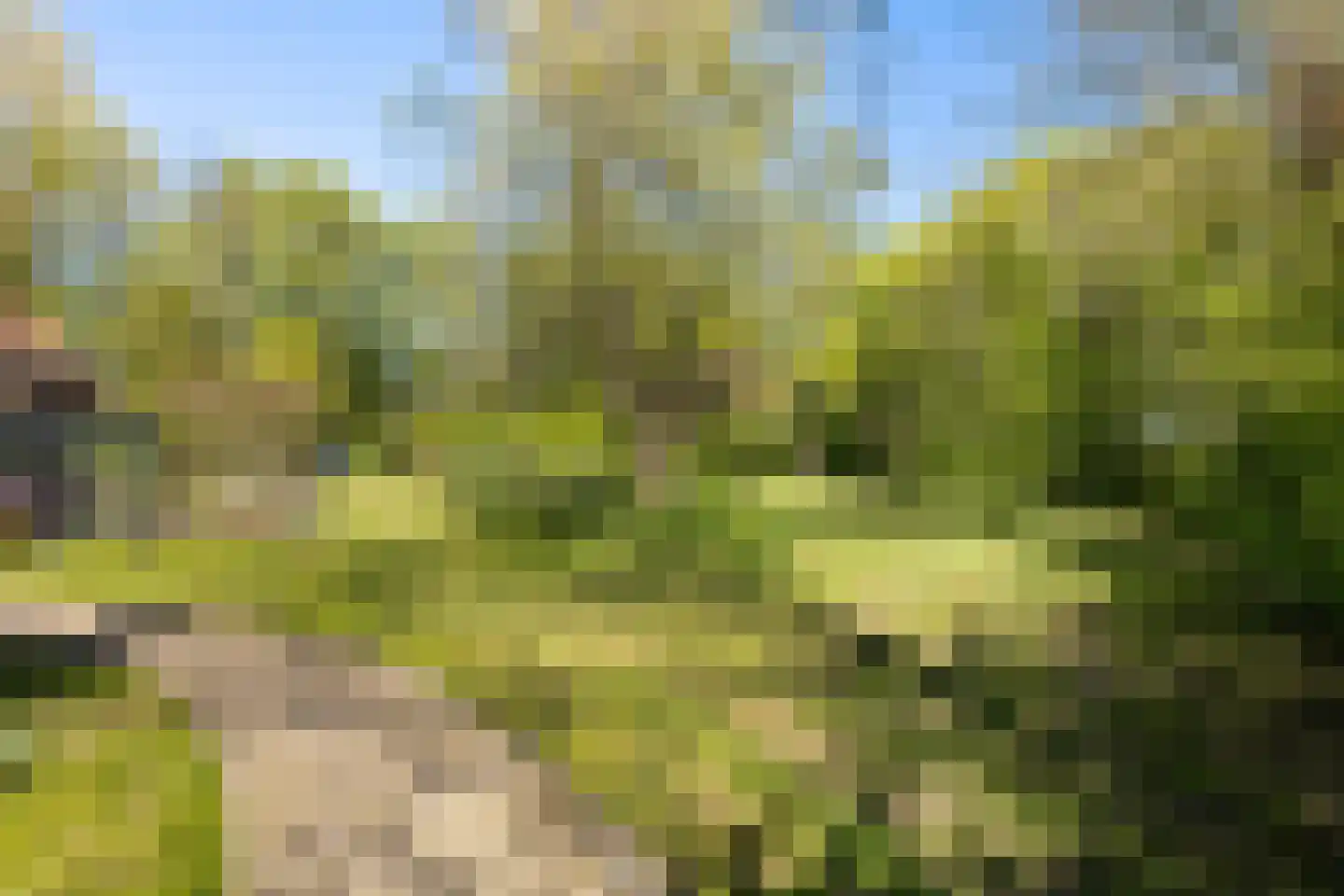Bartlehiem 13 A Wyns thumbnail 51