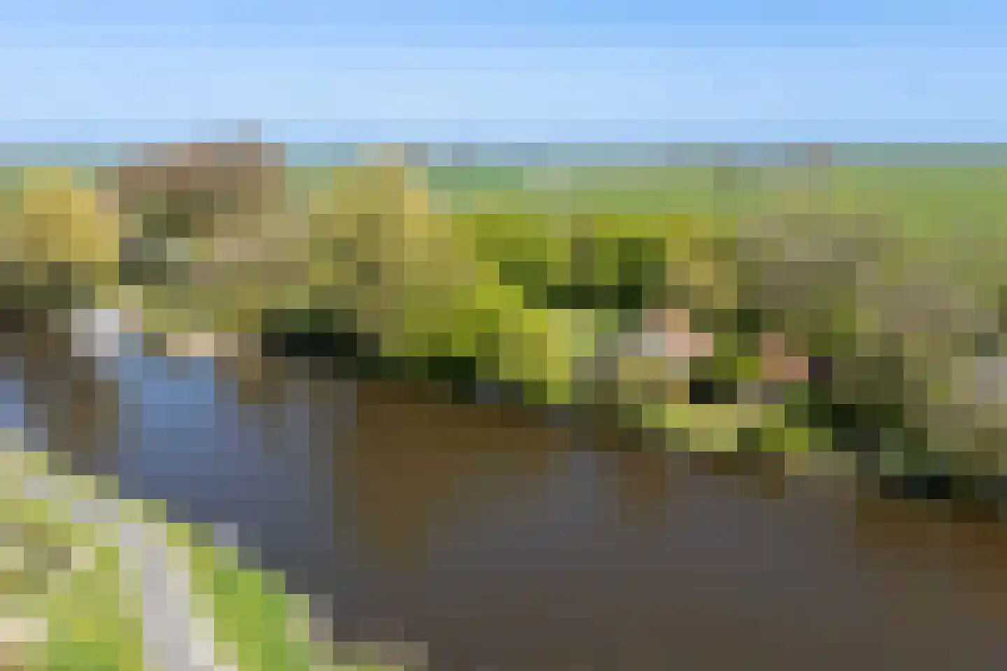Bartlehiem 13 A Wyns thumbnail 56