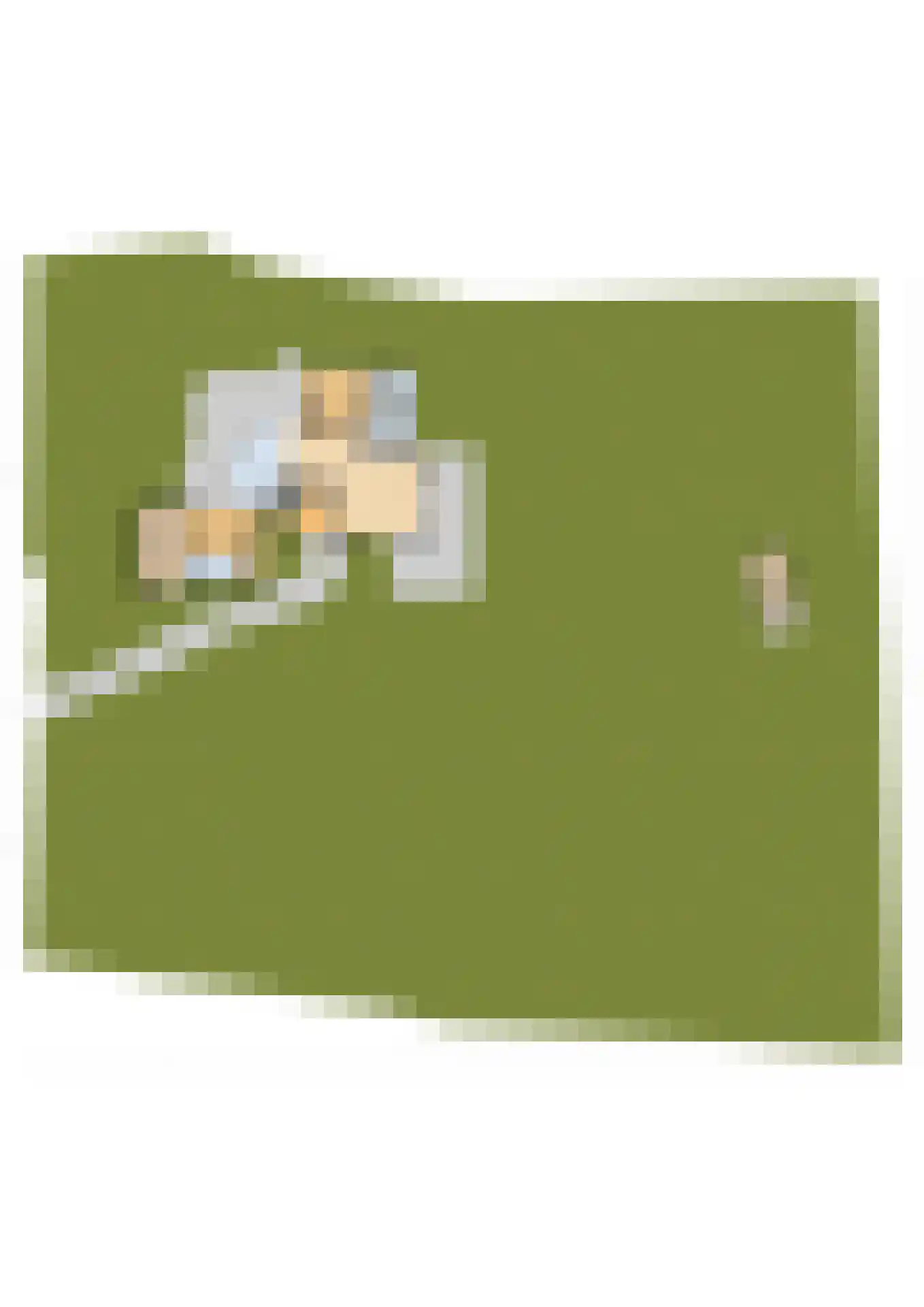 Bartlehiem 13 A Wyns thumbnail 63