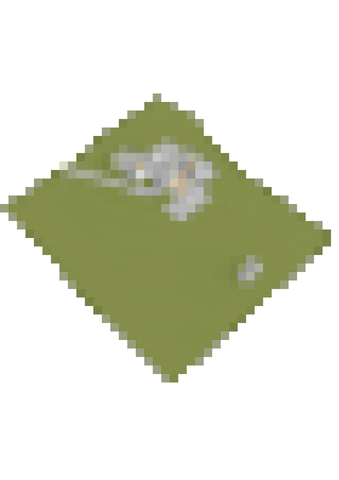 Bartlehiem 13 A Wyns thumbnail 64