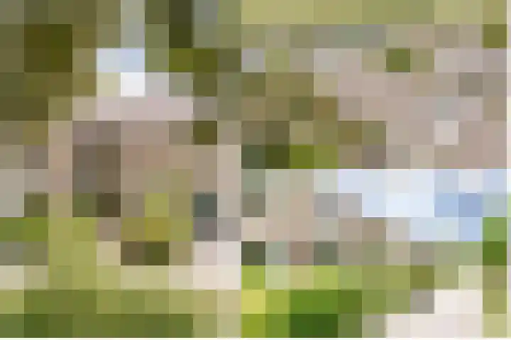 Bartokhof 45 Alphen aan den Rijn thumbnail 4
