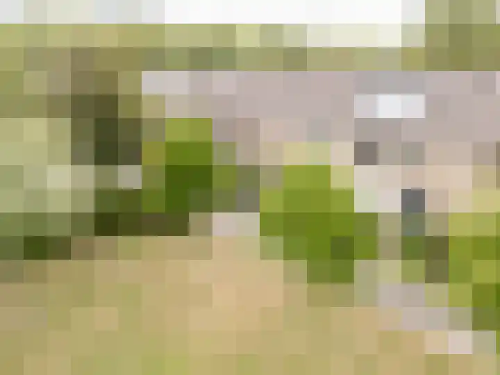Bartokhof 45 Alphen aan den Rijn thumbnail 46
