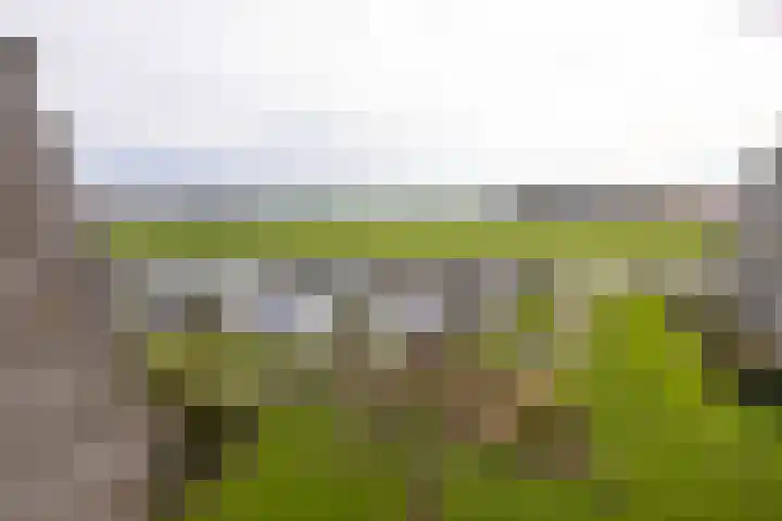 Bartoklaan 12 Heemstede thumbnail 23