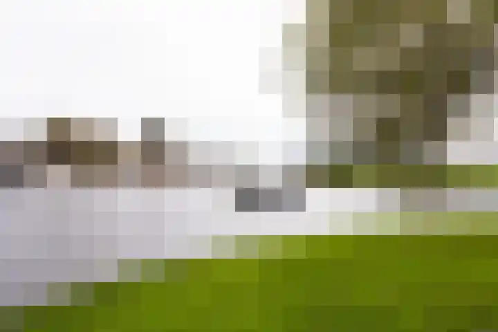 Bartoklaan 12 Heemstede thumbnail 27