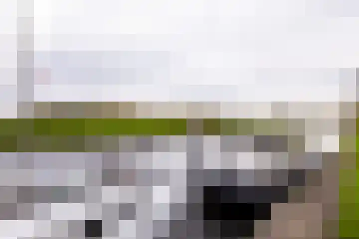 Bartoklaan 12 Heemstede thumbnail 30