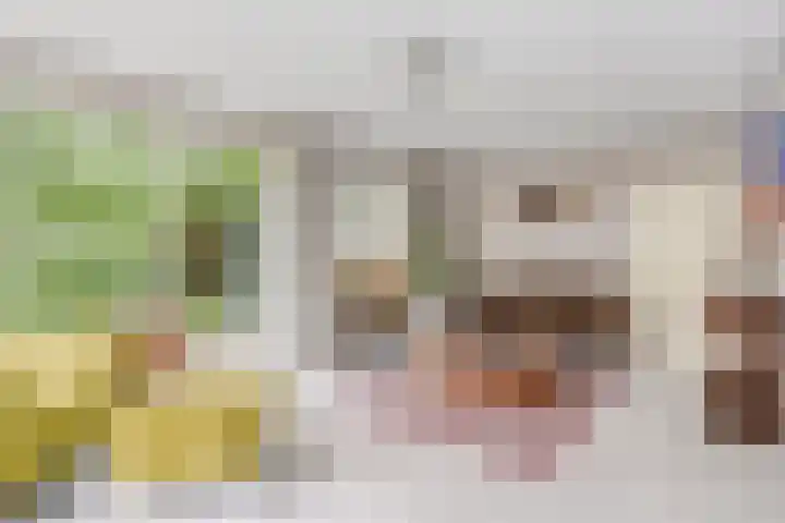 Bartoklaan 12 Oss thumbnail 18
