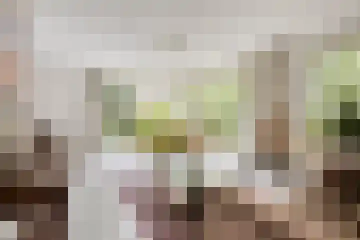 Bartoklaan 12 Oss thumbnail 19