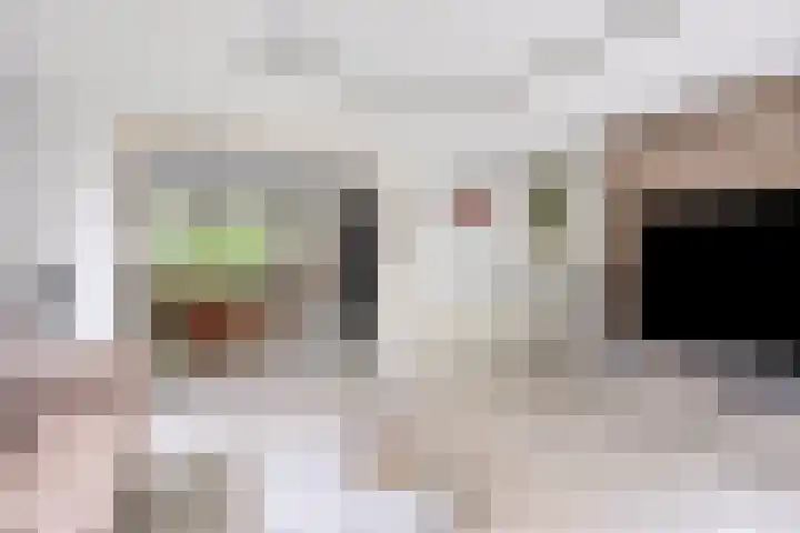 Bartoklaan 12 Oss thumbnail 20