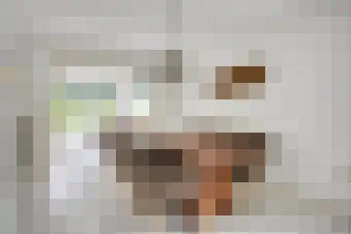 Bartoklaan 12 Oss thumbnail 24