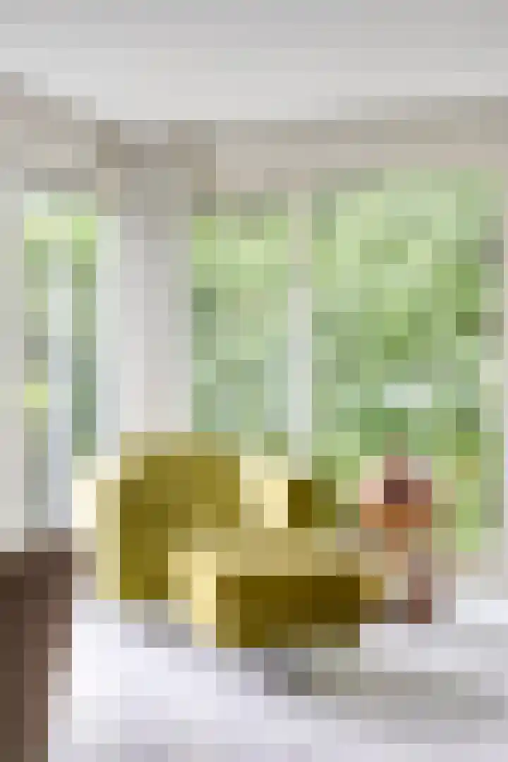 Bartoklaan 12 Oss thumbnail 25