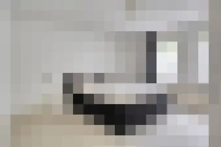 Bartoklaan 12 Oss thumbnail 26