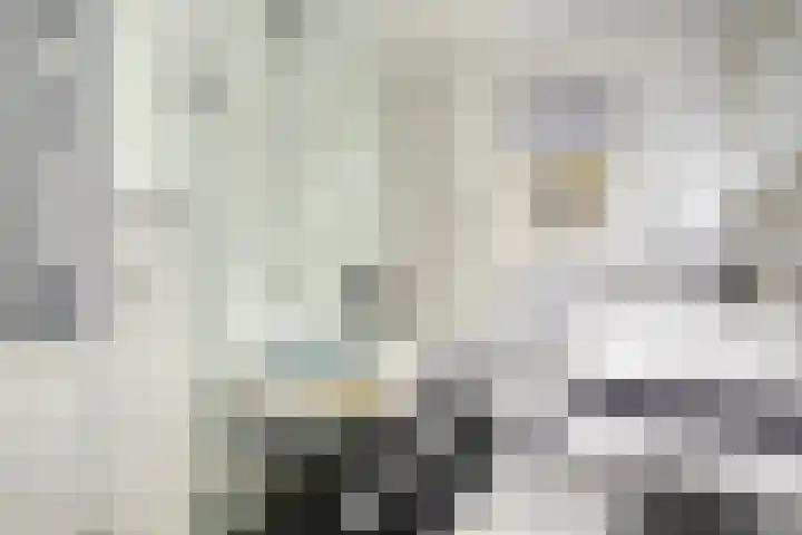 Bartoklaan 12 Oss thumbnail 29